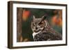 Great Horned Owl with Blurred Autumn Foliage-W^ Perry Conway-Framed Photographic Print