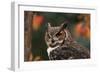 Great Horned Owl with Blurred Autumn Foliage-W^ Perry Conway-Framed Photographic Print