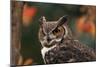 Great Horned Owl with Blurred Autumn Foliage-W^ Perry Conway-Mounted Photographic Print