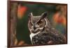 Great Horned Owl with Blurred Autumn Foliage-W^ Perry Conway-Framed Photographic Print