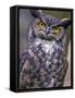 Great Horned Owl-Janis Miglavs-Framed Stretched Canvas