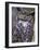 Great Horned Owl-Janis Miglavs-Framed Photographic Print