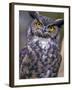 Great Horned Owl-Janis Miglavs-Framed Photographic Print