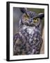 Great Horned Owl-Janis Miglavs-Framed Photographic Print