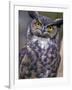 Great Horned Owl-Janis Miglavs-Framed Photographic Print