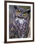 Great Horned Owl-Janis Miglavs-Framed Photographic Print