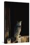 Great Horned Owl-W^ Perry Conway-Stretched Canvas