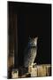 Great Horned Owl-W^ Perry Conway-Mounted Photographic Print