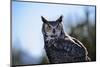 Great Horned Owl-BLFInk-Mounted Photographic Print