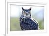 Great Horned Owl-Don Fink-Framed Photographic Print