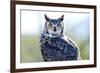 Great Horned Owl-Don Fink-Framed Photographic Print