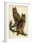 Great Horned Owl-John James Audubon-Framed Art Print