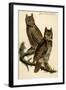 Great Horned Owl-John James Audubon-Framed Art Print