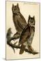 Great Horned Owl-John James Audubon-Mounted Art Print