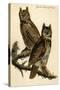 Great Horned Owl-John James Audubon-Stretched Canvas