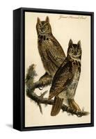 Great Horned Owl-John James Audubon-Framed Stretched Canvas