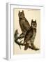 Great Horned Owl-John James Audubon-Framed Art Print