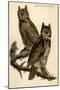 Great Horned Owl-John James Audubon-Mounted Art Print
