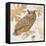 Great Horned Owl-Chad Barrett-Framed Stretched Canvas