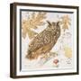 Great Horned Owl-Chad Barrett-Framed Art Print