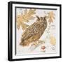 Great Horned Owl-Chad Barrett-Framed Art Print