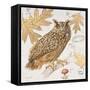 Great Horned Owl-Chad Barrett-Framed Stretched Canvas