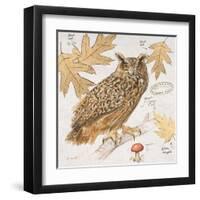 Great Horned Owl-Chad Barrett-Framed Art Print