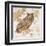 Great Horned Owl-Chad Barrett-Framed Art Print