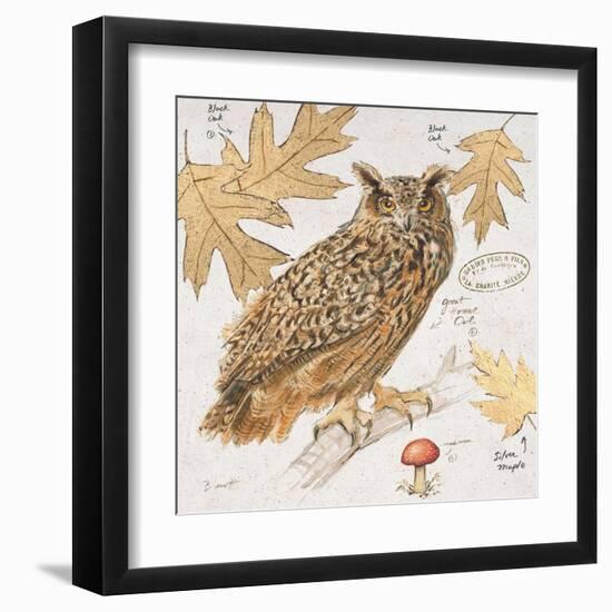 Great Horned Owl-Chad Barrett-Framed Art Print