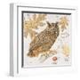 Great Horned Owl-Chad Barrett-Framed Art Print