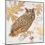 Great Horned Owl-Chad Barrett-Mounted Art Print