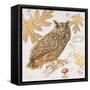 Great Horned Owl-Chad Barrett-Framed Stretched Canvas