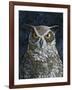 Great Horned Owl-Jamin Still-Framed Giclee Print