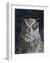 Great Horned Owl-Jamin Still-Framed Giclee Print