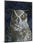 Great Horned Owl-Jamin Still-Mounted Giclee Print