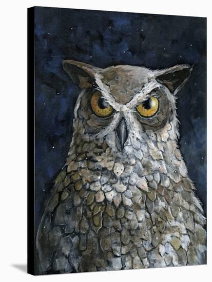 Great Horned Owl-Jamin Still-Stretched Canvas