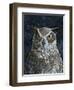 Great Horned Owl-Jamin Still-Framed Giclee Print