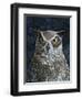 Great Horned Owl-Jamin Still-Framed Giclee Print