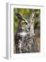 Great Horned Owl-Robert Michaud-Framed Giclee Print