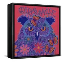 Great Horned Owl-Denny Driver-Framed Stretched Canvas