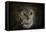 Great Horned Owl-Jai Johnson-Framed Stretched Canvas