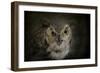 Great Horned Owl-Jai Johnson-Framed Giclee Print