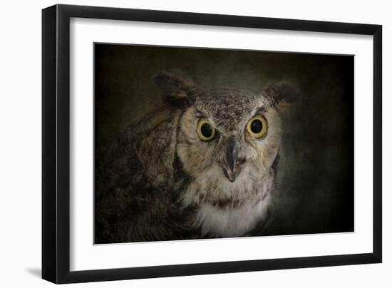 Great Horned Owl-Jai Johnson-Framed Giclee Print