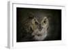 Great Horned Owl-Jai Johnson-Framed Giclee Print