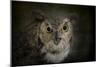 Great Horned Owl-Jai Johnson-Mounted Giclee Print