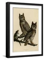 Great Horned Owl-null-Framed Premium Giclee Print