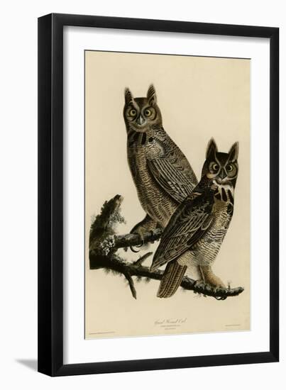 Great Horned Owl-null-Framed Giclee Print
