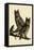 Great Horned Owl-null-Framed Stretched Canvas