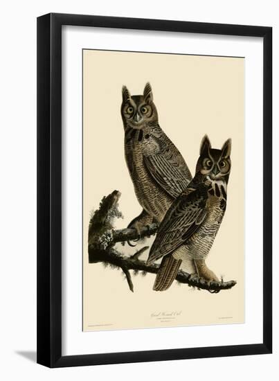 Great Horned Owl-null-Framed Giclee Print