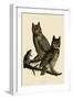 Great Horned Owl-null-Framed Giclee Print